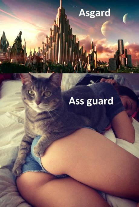 Assguard