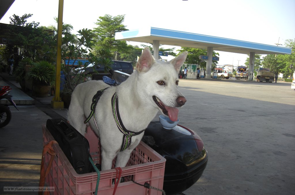 Auf nach Yasothon