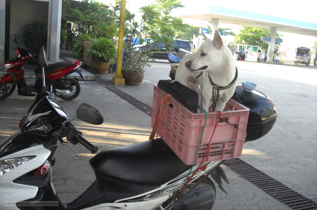 Auf nach Yasothon