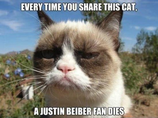 Bieber-fan