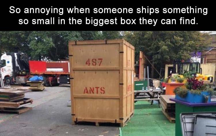 BiggestBox