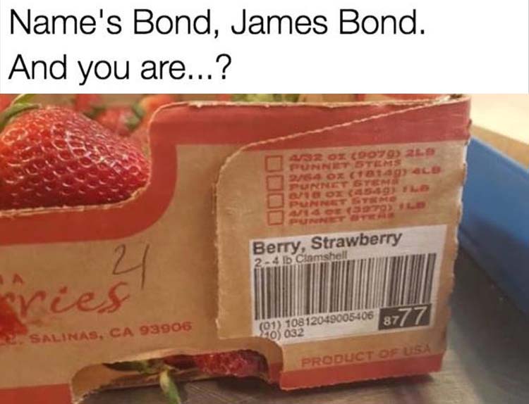 BondBerry