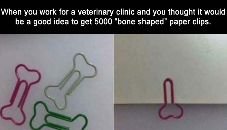 BoneShapePaperClips