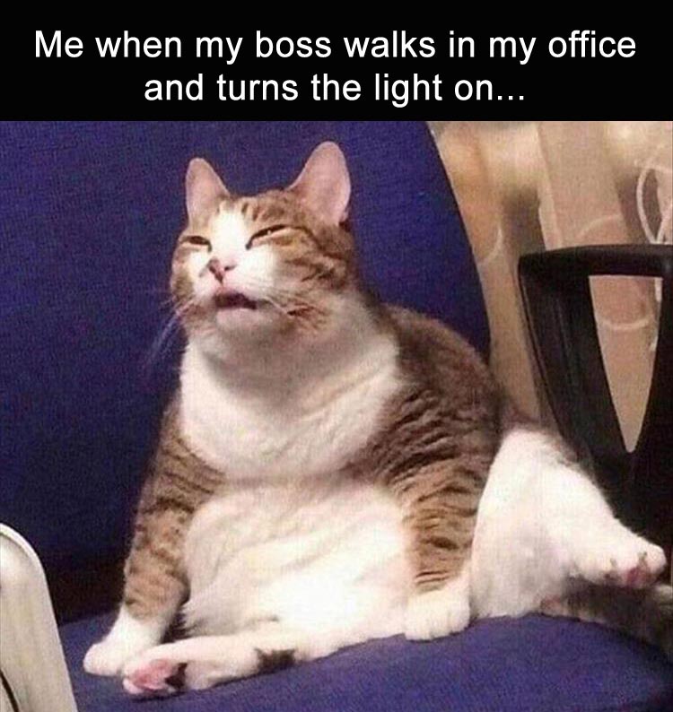 BossOffice