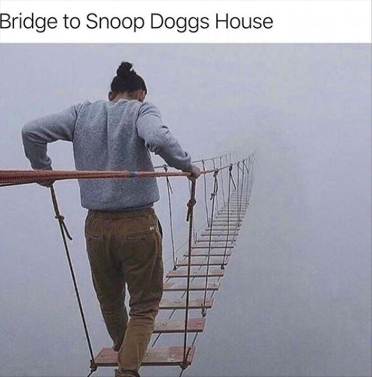 BridgeSnoop