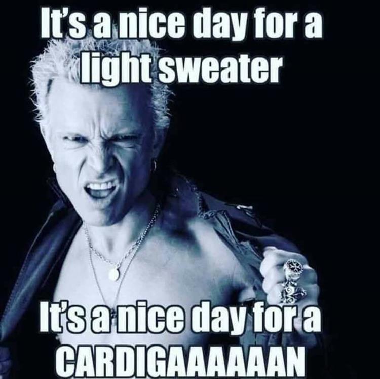 Cardigan