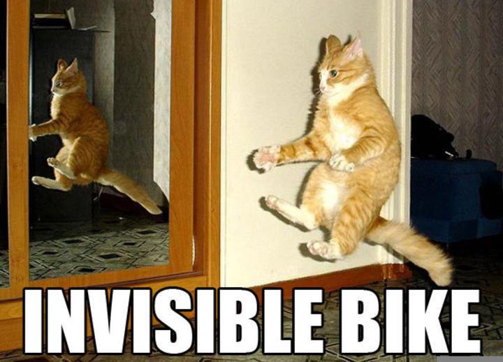 Cat-Bike