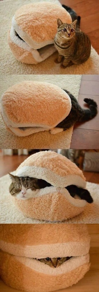 Catburger