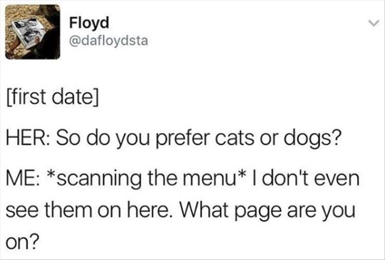 CatsOrDogs