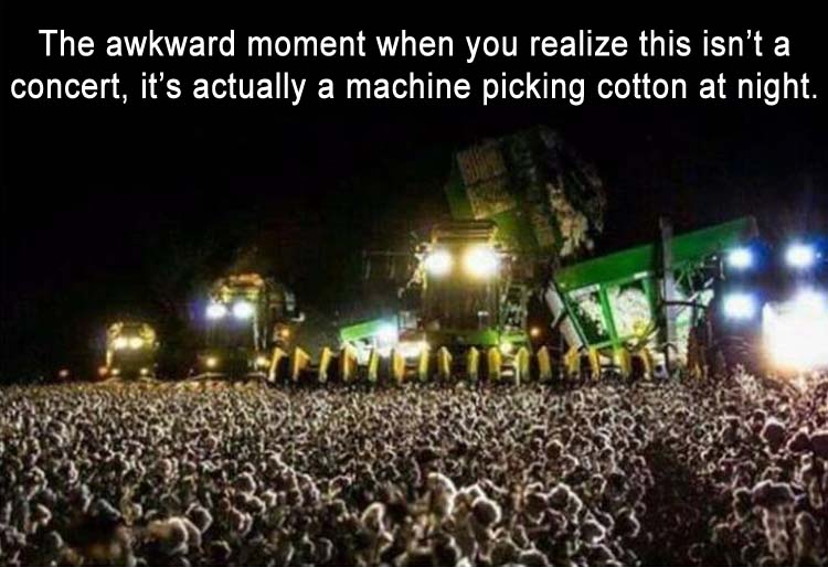 CottonPicking