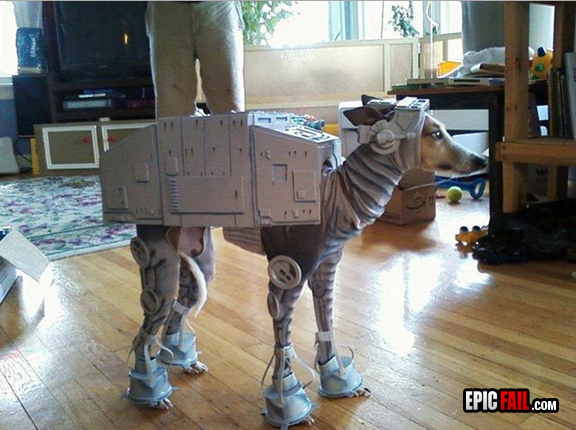 dog-costume-win.jpg