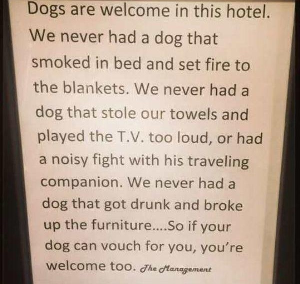 DogfriendlyHotel