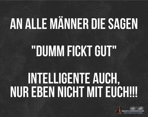 Dumm Fickt Gut