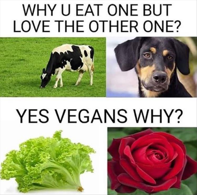 EatVegan