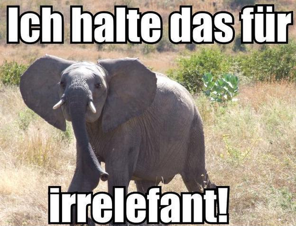 Elefant