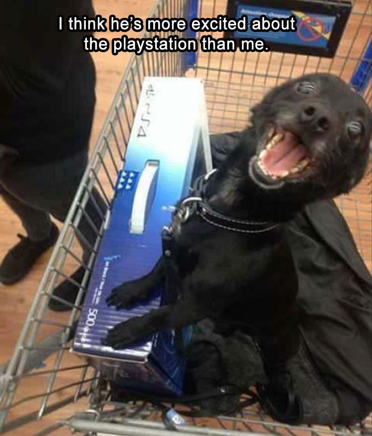 ExcitedPlaystation