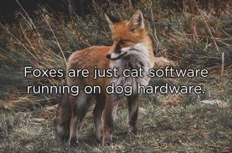 FoxesSoftware