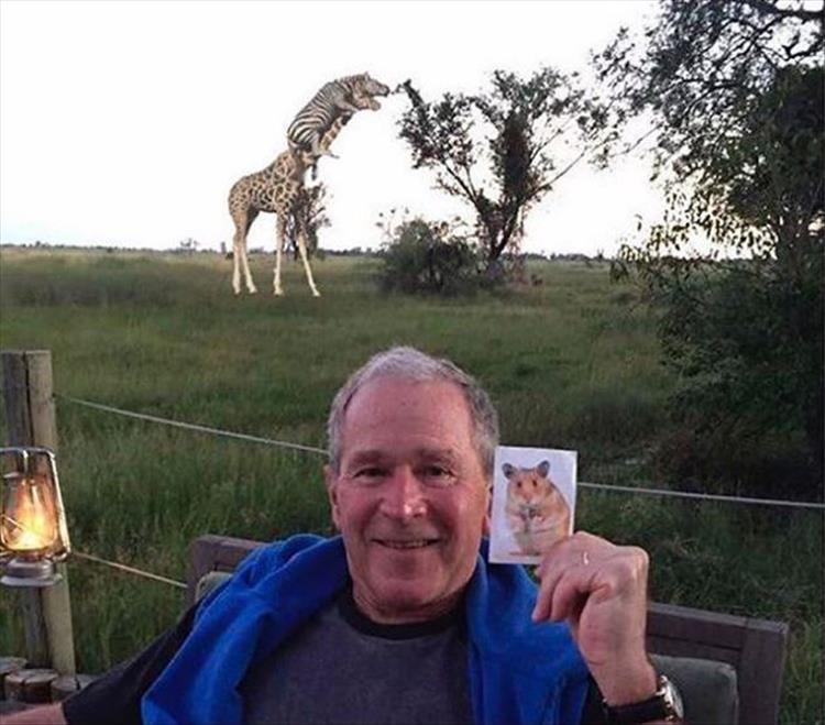 GiraffeGeorge