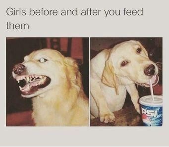 Girlsfeed