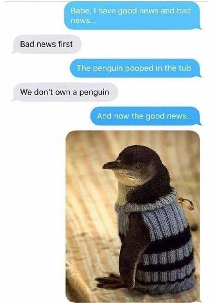 GoodPenguinNews