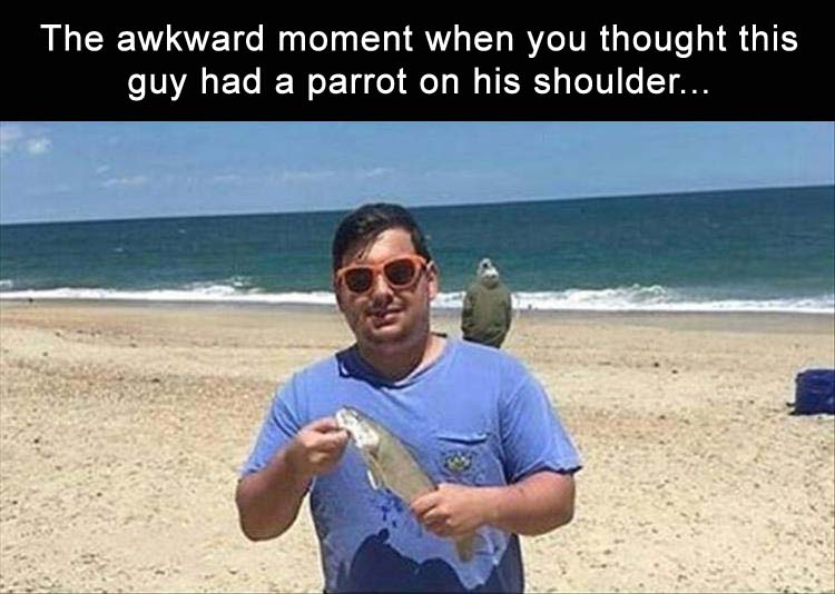 GuyParrot