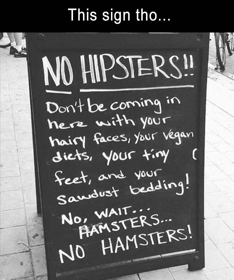 Hamsters