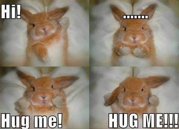 HugMe