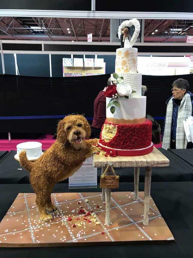 Hundekuchen