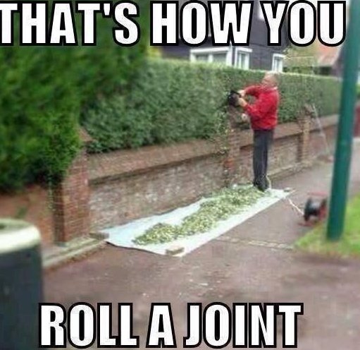 Joint