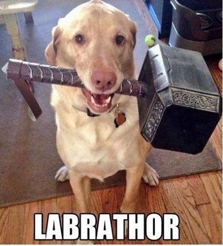 Labrathor