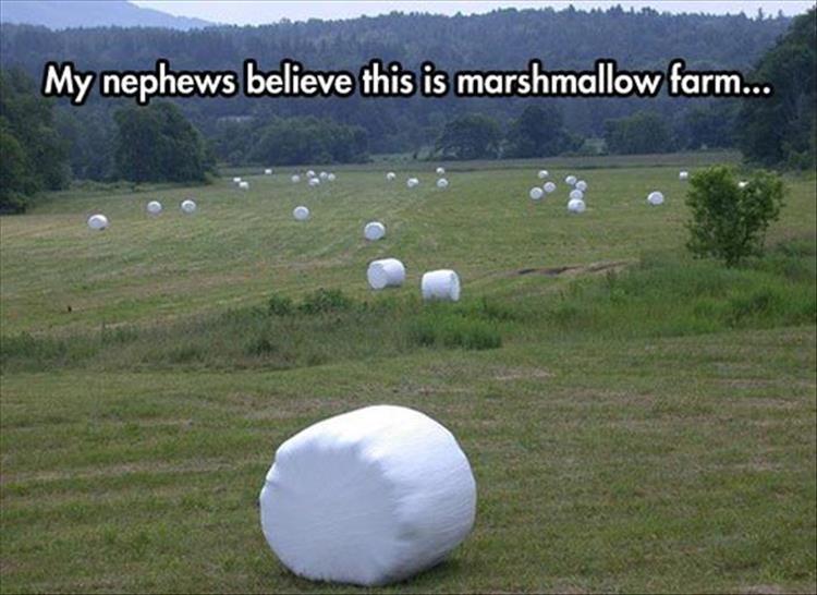 MarshMellows