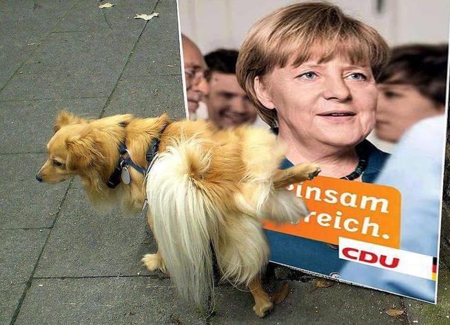 Merkel01