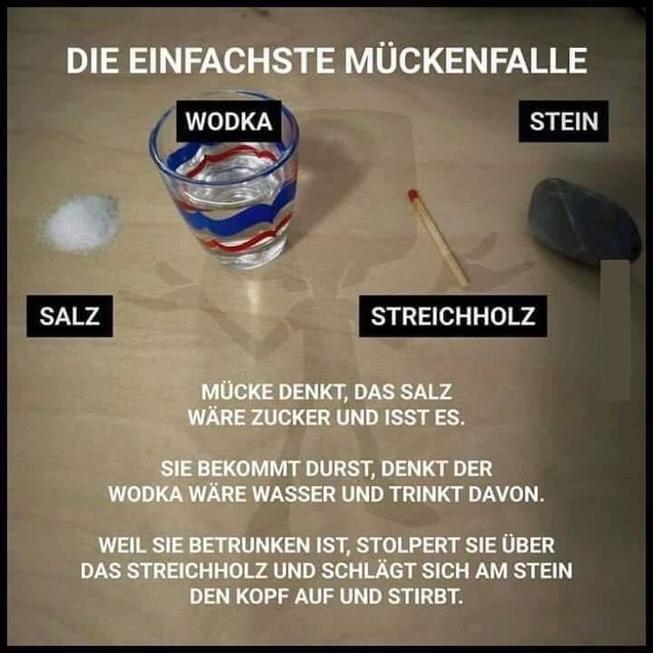 Mueckenfalle