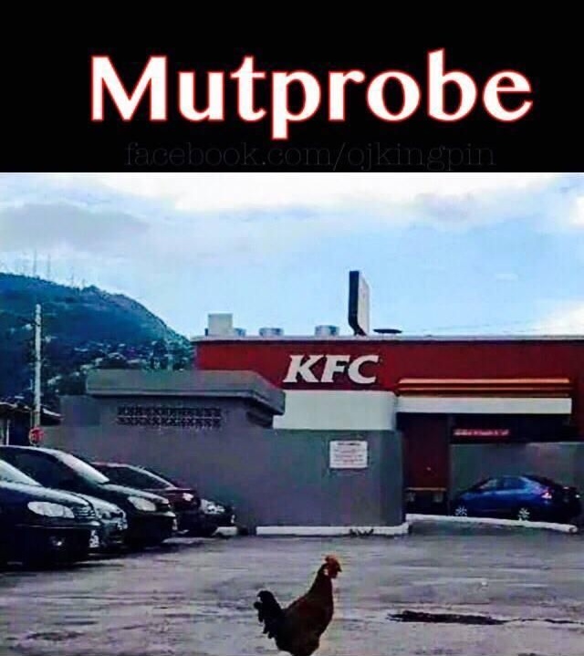 Mutprobe