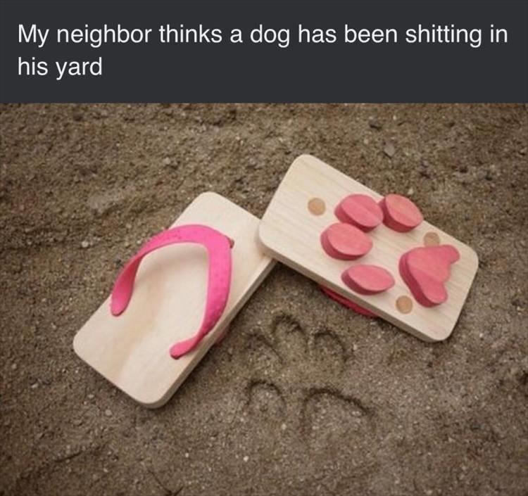 NeighbourDog