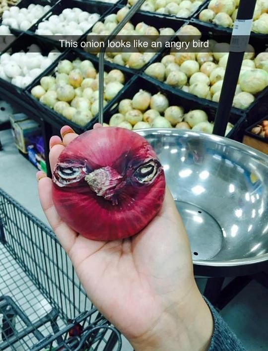 Onion