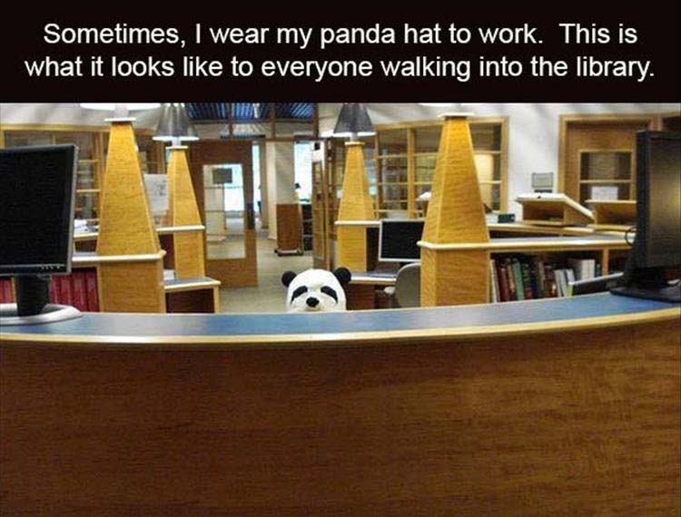 PandaHatLibrary