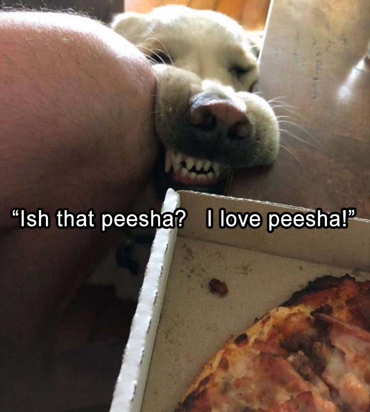 Peesha