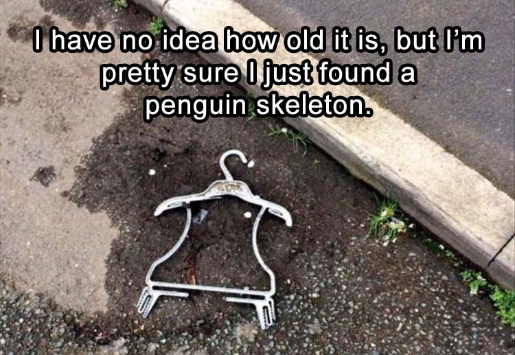 PenguinSkeletton