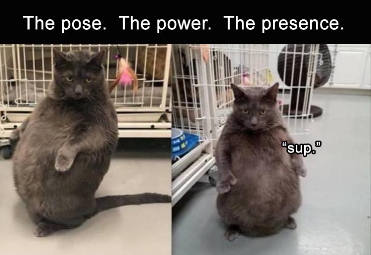 PosePowerPresence