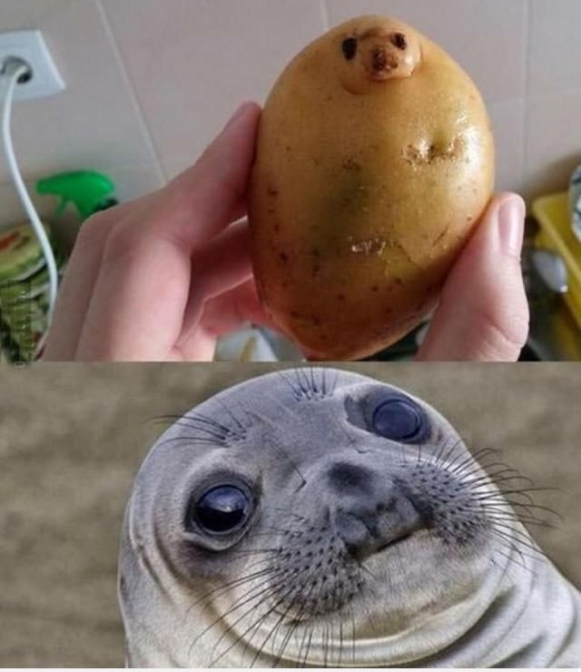 Potatoseal