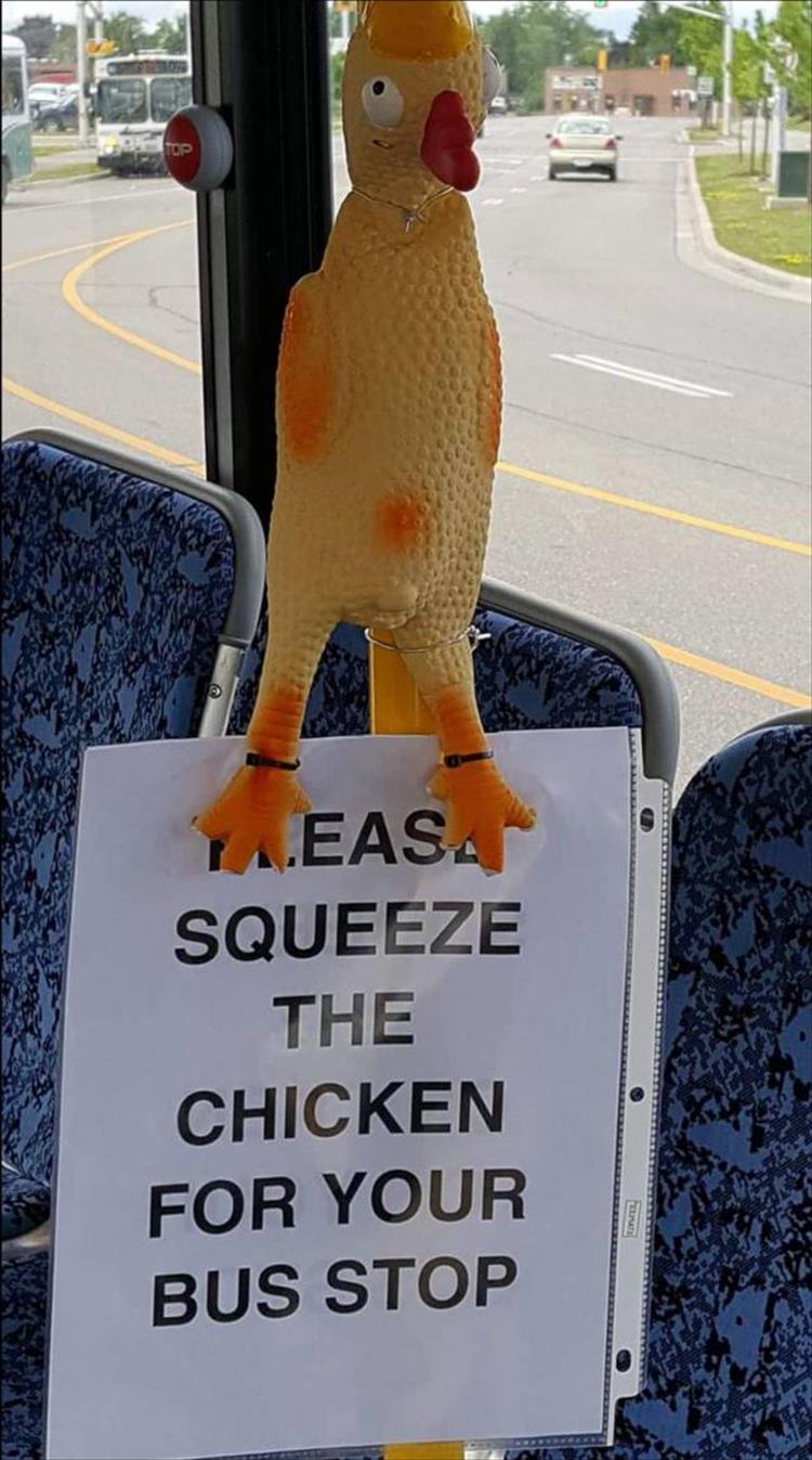 SqueezeChicken