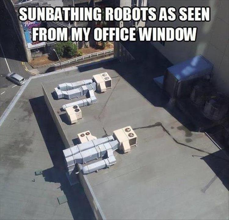 SunbathingRobots