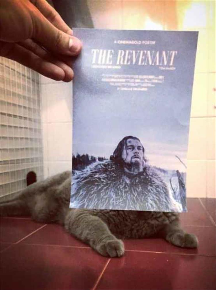 TheRevenant