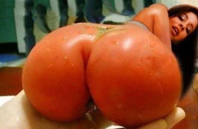 Tomatenarsch