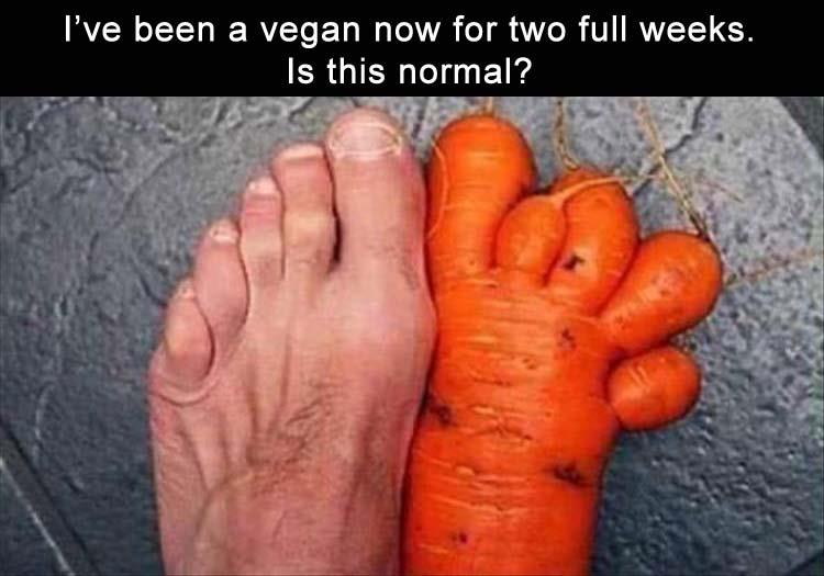 Vegan2Weeks