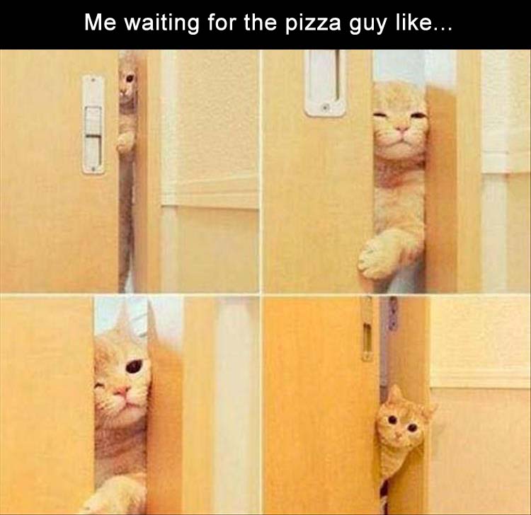 WaitingPizza