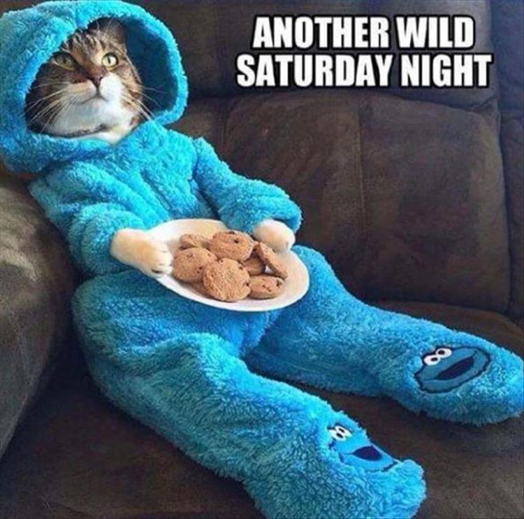 WildSaturdayNight