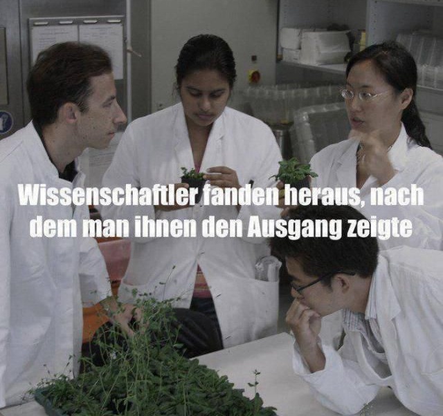 Wissenschaftler