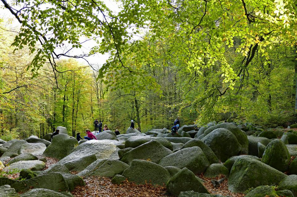 www.bergstrasse-odenwald.de